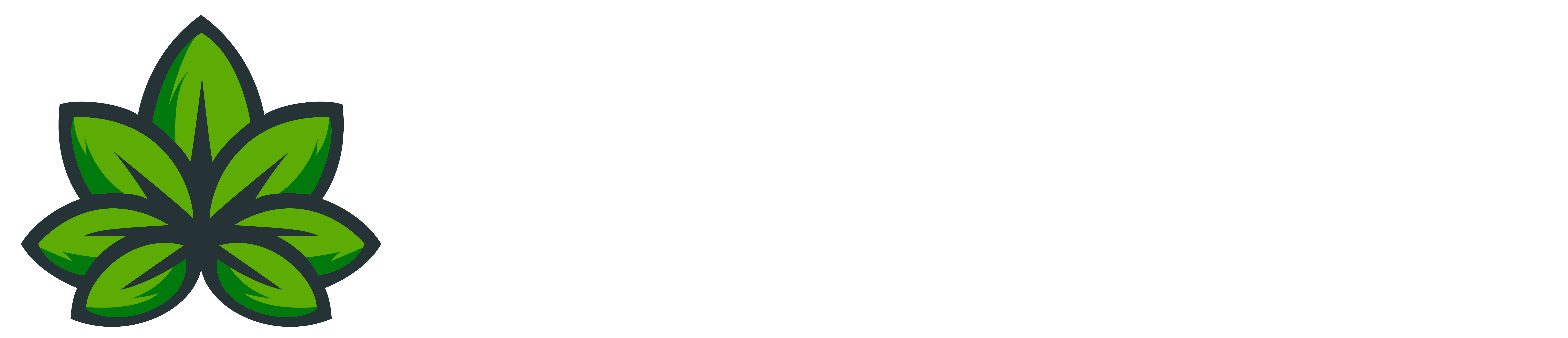 Concord 420